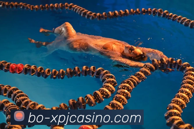 App Interface Preview