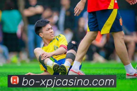 新葡京娱乐APP 封面图